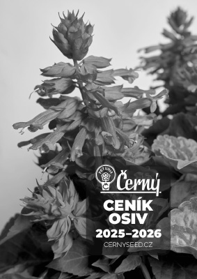 �ern� cen�k 2025 CZ