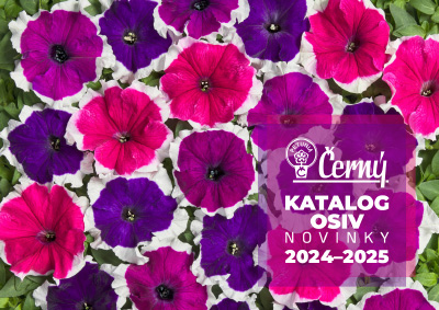 Cerny Seed Novinky 2024