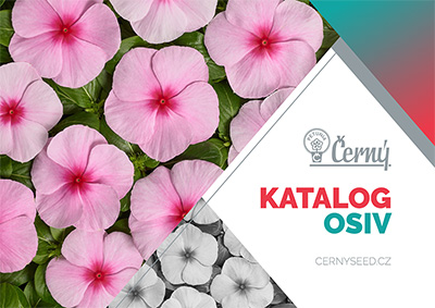 �ern�  Seed katalog